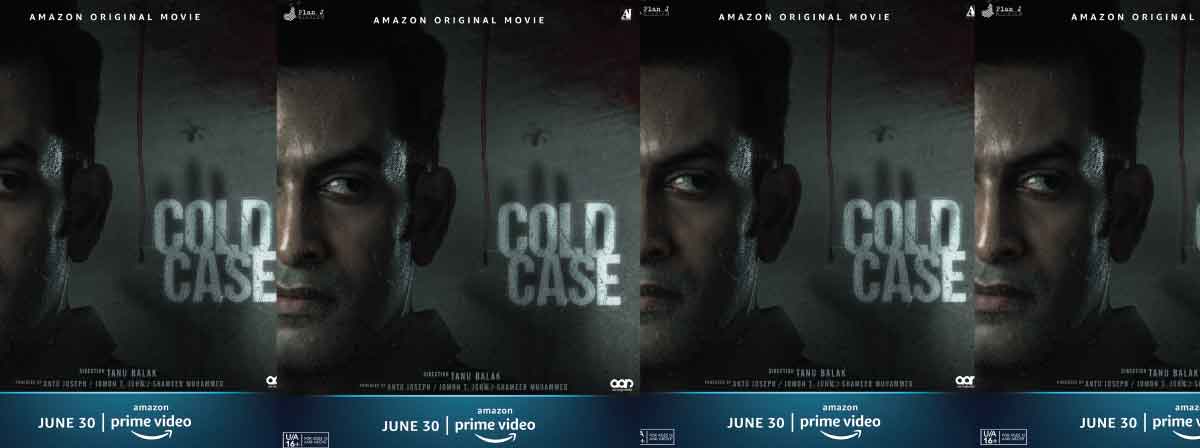 cold case south movie review