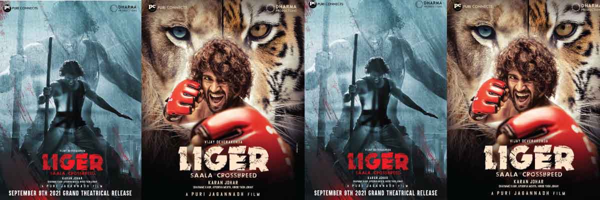 Liger Movie | Cast, Release Date, Trailer, Posters, Reviews, News