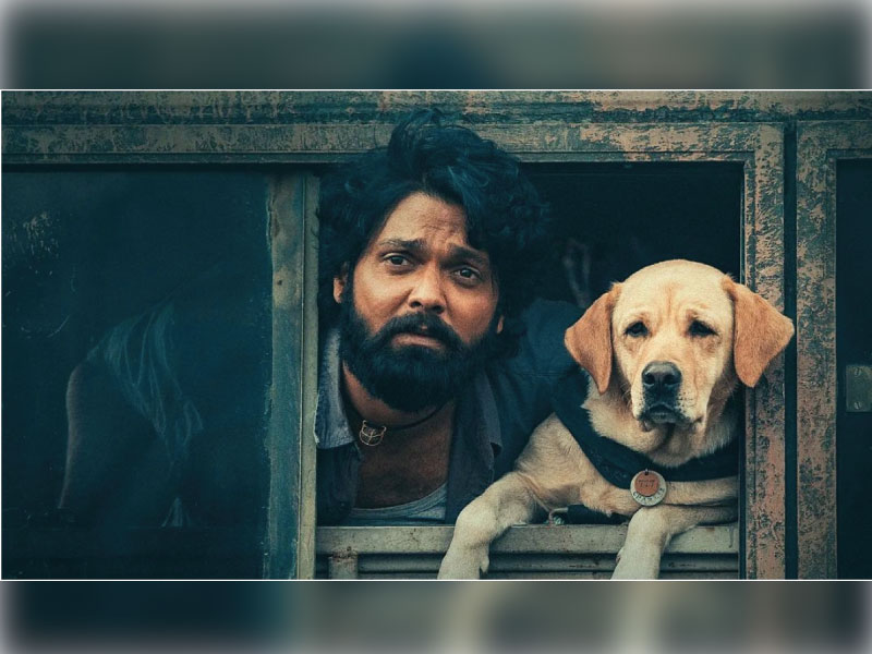 Kannada film 777 Charlie now has a connection with Hachiko: A Dog's Tale