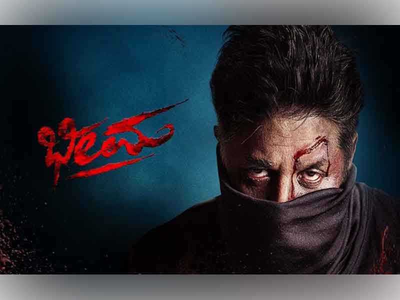 Bheema Movie Review: A Mass Entertainer With A Formulaic Approach