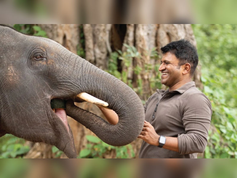 Gandhada Gudi Review:  Puneeth Rajkumar’s Dream Project Is An Experience Of A Lifetime,Must watch for all